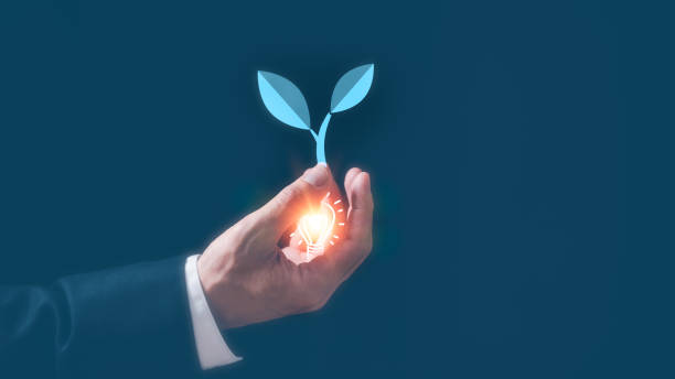 istock Hands holding virtual light bulb and virtual tree for Concept of new idea, innovation, inspiration, innovative technology in science and communication concept,ideas, idea, innovation, invention, brainstorming, 1458720367