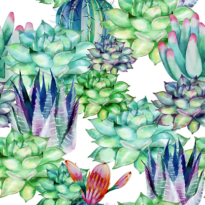 Seamless handmade watercolor pattern with the image of a juicy cactus. A picture for the background of a notebook, wrapping paper, wallpaper, textiles.