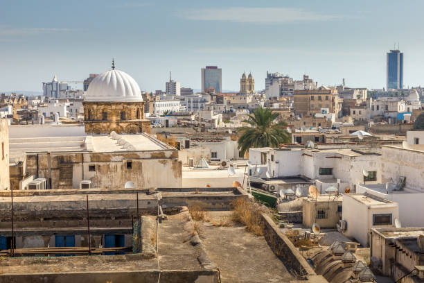 istock Aerial view of Tunis, Tunisia 1458724065