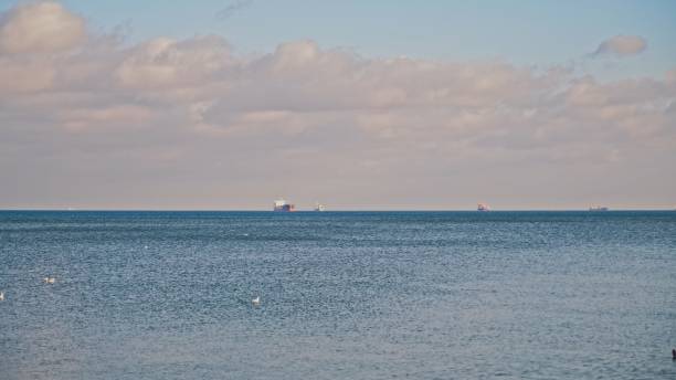 istock Freight Container Ships Waiting to Enter a Port on Roadstead Anchorage Area 1458724837