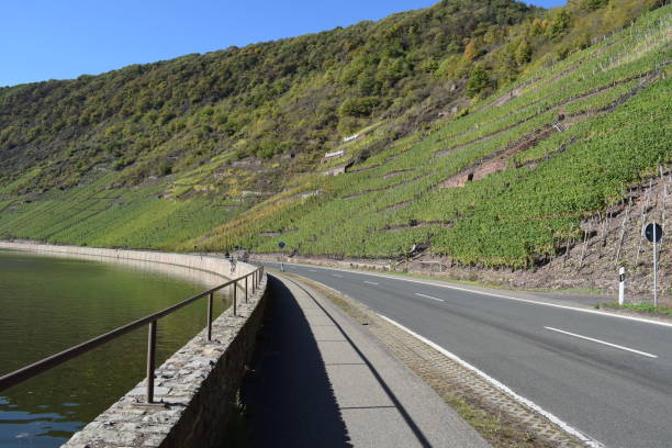 istock road at vineyards reaching down to water level 1458729535