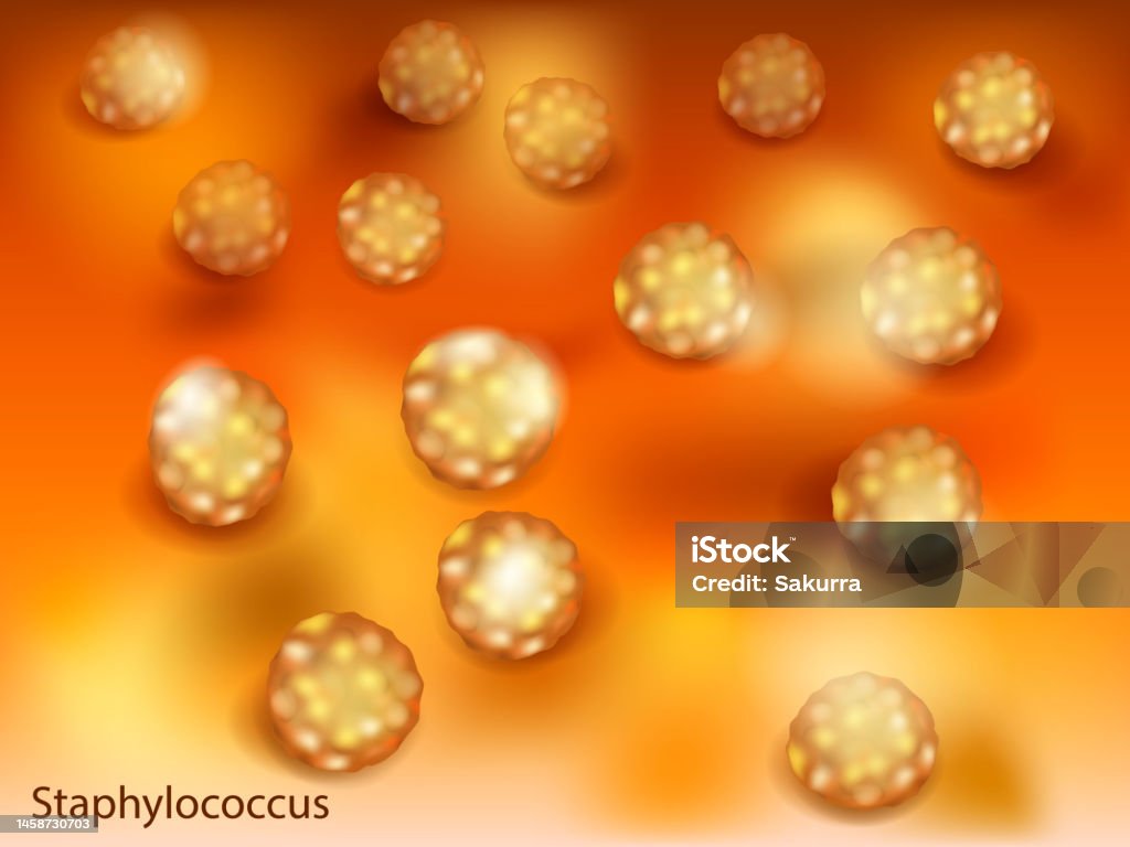 Bacillales Vector Illustration Of The Staphylococcus Aureus Staphylococcus Is A ...
