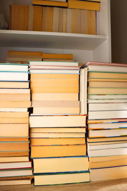 istock Big Pile of Books 1458737972