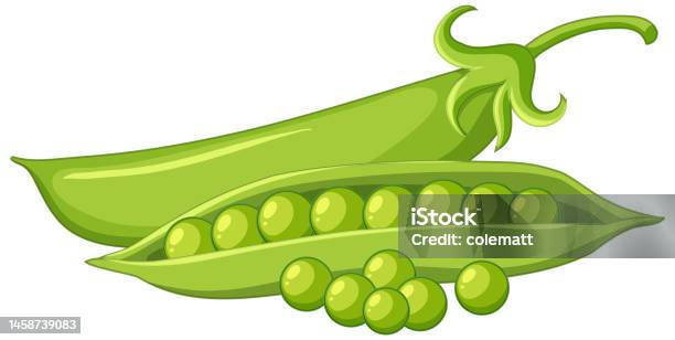  Ilustración de Dibujos Animados Aislados De Guisantes Verdes y más Vectores Libres de Derechos de Alimento