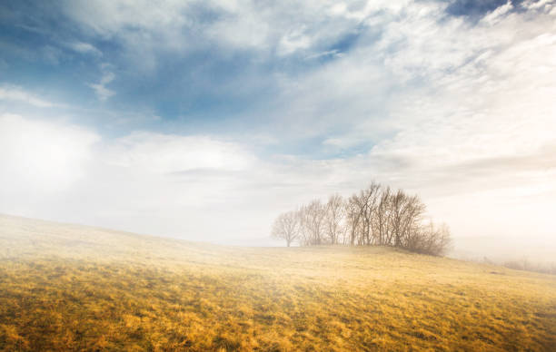 Autumn landscape in the morning mist