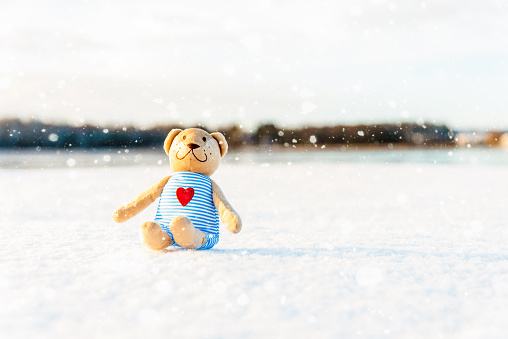 Toy Teddy bear sitting on the white snow background forest winter blurred snowing landscape.