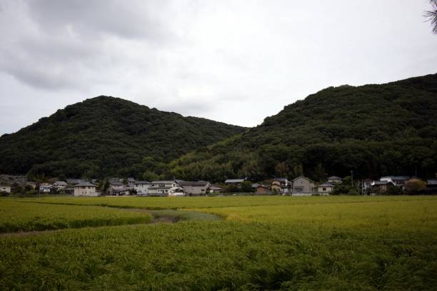 istock Japanese countryside with mountains 1458741866