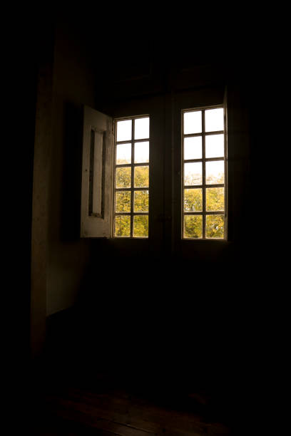 istock Green Trees through old wooden window 1458744854