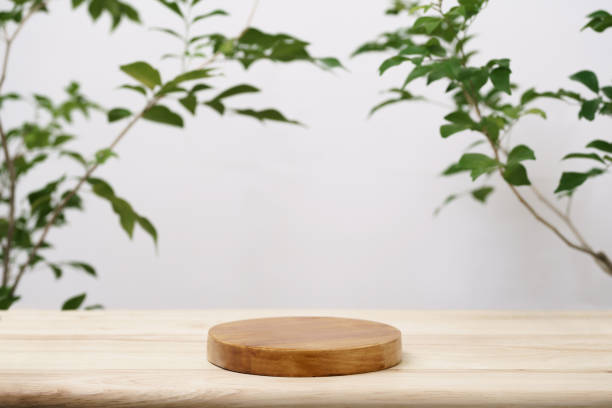istock wood podium on table top tree branch green leaf white space background.promotion beauty cosmetic and healthy natural product placement pedestal platform showcase display,spring or summer advertising. 1458747285