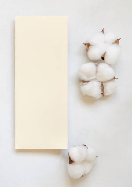 istock Blank card with cotton flowers top view on white, wedding mockup 1458751514