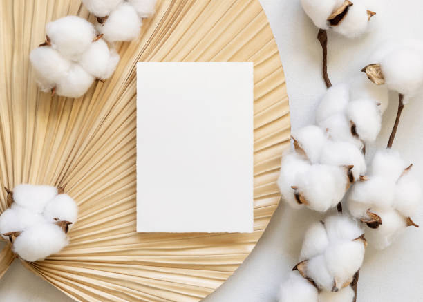 istock Blank card on dried palm leaf with cotton flowers top view, wedding mockup 1458752064