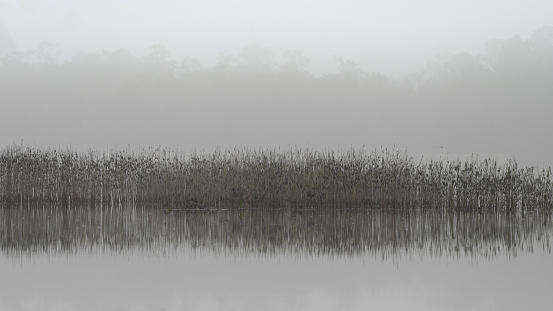 The mist hangs heavy over the pond on a January morning in Texas.