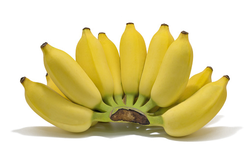 Ducasse banana or Nam Wah Banana or Sugar banana isolate on whitebackground