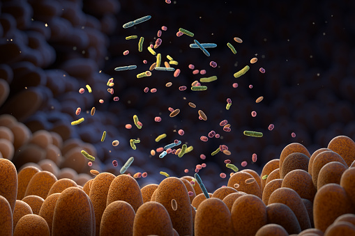 Intestinal bacteria. Microbiome. Gut microbiome helps control intestinal digestion and the immune system. Probiotics are beneficial bacteria used to help the growth of healthy gut flora. 3d illustration.