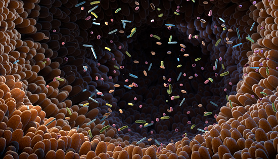 Intestinal bacteria. Microbiome. Gut microbiome helps control intestinal digestion and the immune system. Probiotics are beneficial bacteria used to help the growth of healthy gut flora. 3d illustration.