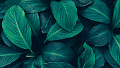 istock blue leaves texture background 1458753625