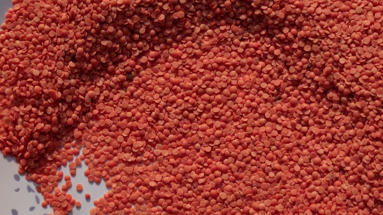 Red Lentil/ masoor dal table top spin close up