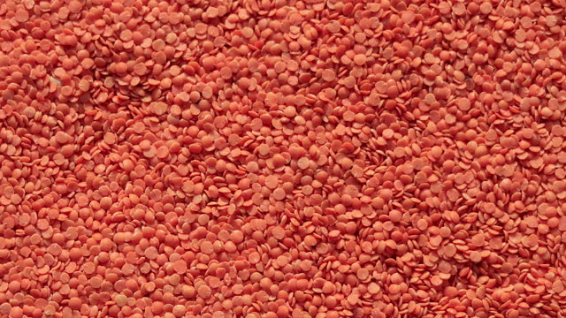 Red Lentil/ masoor dal table top spin close up