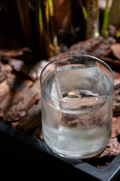 植木鉢に立つグラスのアイスカクテル - tonic water ストックフォトと画像