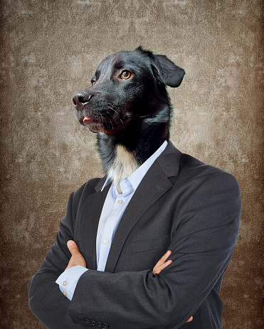 Head of a Dog on a man's body on textured brown background