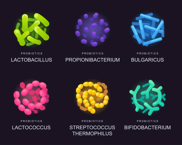 illustrazioni stock, clip art, cartoni animati e icone di tendenza di probiotici - bacillus subtilis