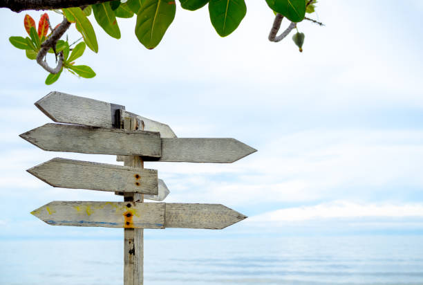 istock Empty space background on many old white blank wooden direction road signs under the tree on sea and sky background. Vintage signpost board, road sign panels on the beach. 1458777889