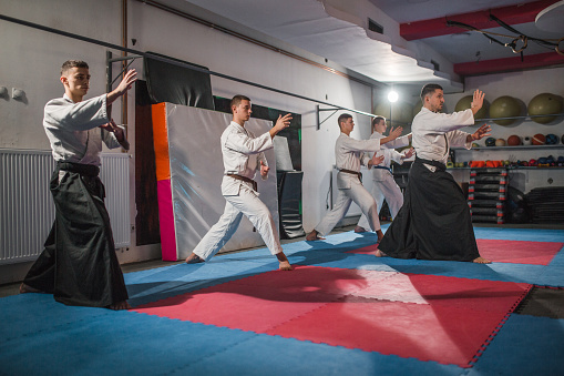 An aikido master leads a group of young fighters, helping them master the technique and skill of aikido movements