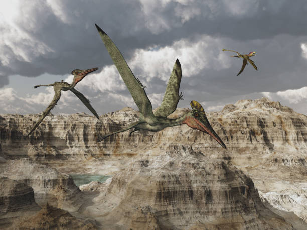 Pterosaur Pterodactylus over a mountain landscape stock photo