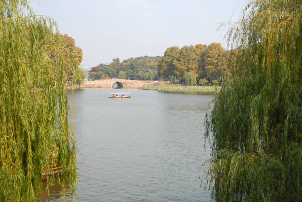 West Lake (Xi Hu) in Hangzhou, Zhejiang Province, China with willow trees. Taking a boat on West Lake, Hangzhou is popular with tourists