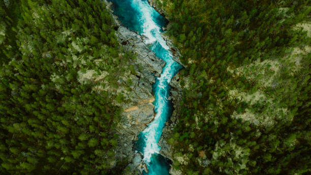Scenic aerial view of the mountain landscape with a forest and the crystal blue river in Jotunheimen National Park Drone high-angle photo of the turquoise-colored mountain river flowing in the pine woodland with a view of the mountain peaks in the background in Innlandet County, Norway scenics nature stock pictures, royalty-free photos & images