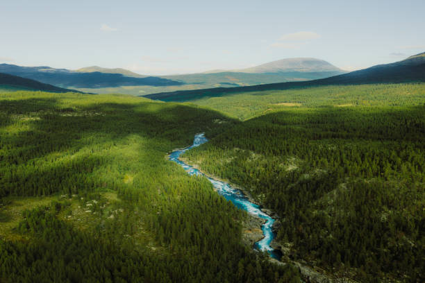 Scenic aerial view of the mountain landscape with a forest and the crystal blue river in Jotunheimen National Park stock photo