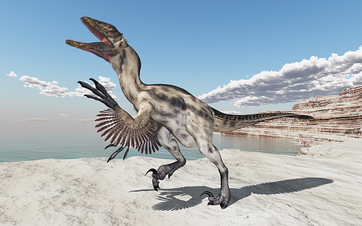 Computer generated 3D illustration with the dinosaur Deinonychus in a coastal landscape
