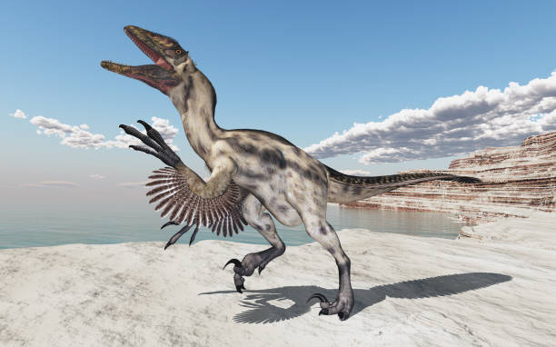 Dinosaur Deinonychus in a coastal landscape stock photo