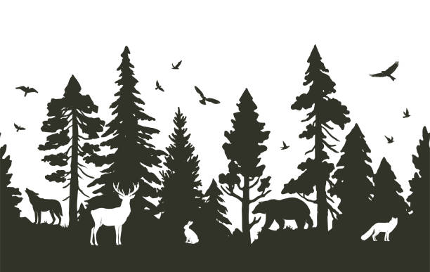 Bezszwowy wzór z lasem iglastym i zwierzętami. Wektorowa sylwetka jodły, sosen, jelenia, zająca, lisa, wilka, niedźwiedzia i ptaków izolowanych na białym tle. Naturalny wzór graniczny – artystyczna grafika wektorowa