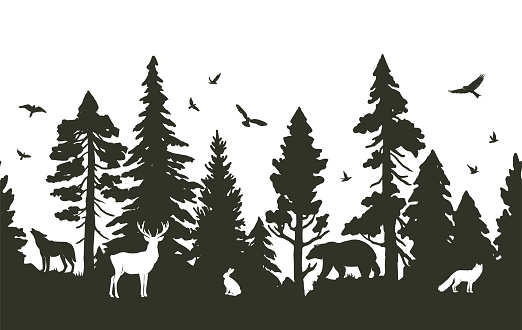 Seamless pattern with coniferous forest and animals. Vector silhouette of firs, pines, deer, hare, fox, wolf, bear and birds isolated on white background. Nature border pattern