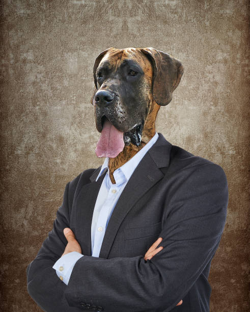 istock Head of a Dog on a man's body 1458787376
