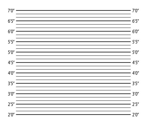 stockillustraties, clipart, cartoons en iconen met police lineup or mugshot background. vector - osloconfrontatie fotos