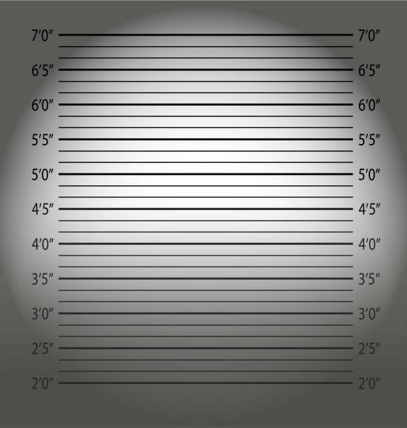 istock Police mugshot.Police lineup or mugshot background. 1458795071