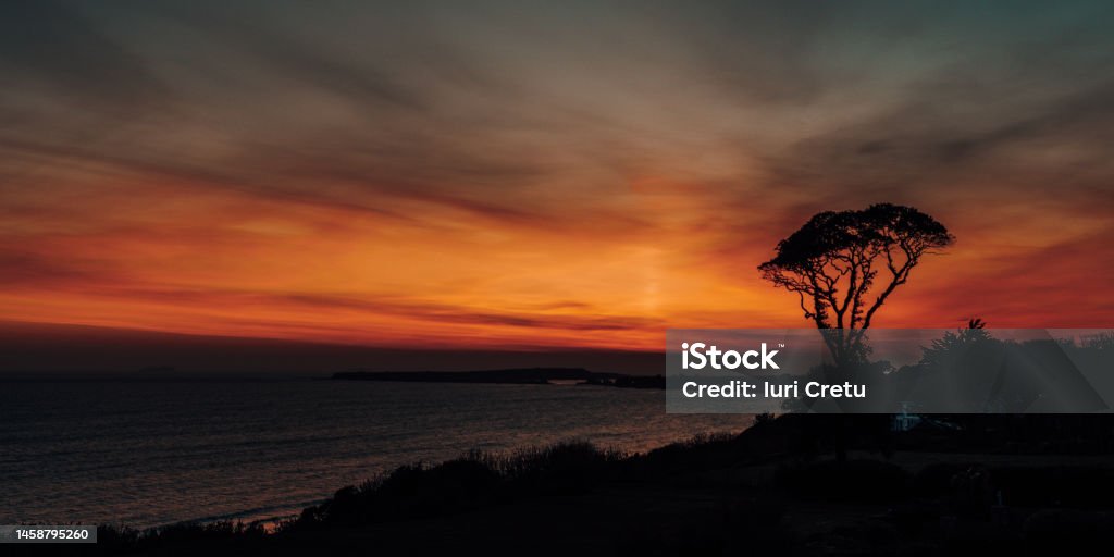 Treeview Sunset Tree In The Sunset Stock Photo - Download Image Now - Backgrounds ...