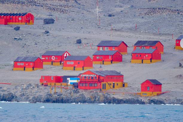 에스페란자 기지, 남극 - esperanza base 뉴스 사진 이미지