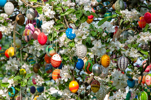Beautifully painted Easter eggs hanging on blooming tree outdoors, space for text