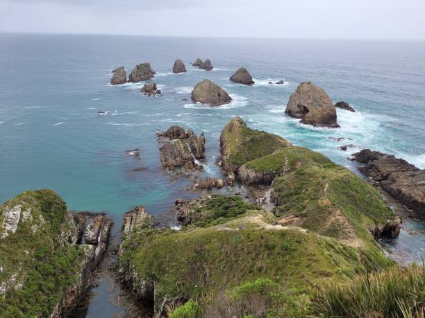 istock Nugget Point, New Zealand 1458797465