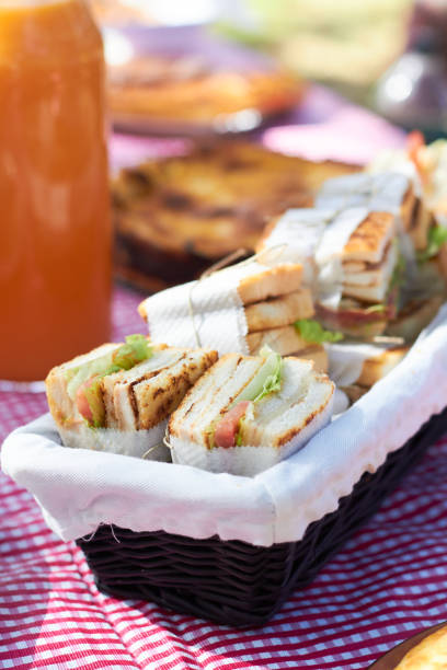 vegetarian sandwich on a basket in a picnic table