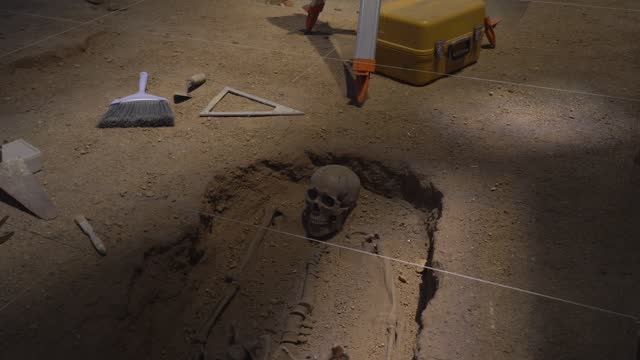 Excavation of a skeleton found in an excavation.