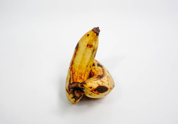 흰색 배경에 격리된 잘 익은 바나나 위에. - banana rotting ripe above 뉴스 사진 이미지