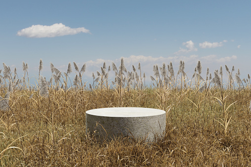 Abstact 3d render summer scene and Natural podium background,  Stone podium on dry and tall grass field backdrop cloud and sky for product stand display advertising, cosmetic or etc