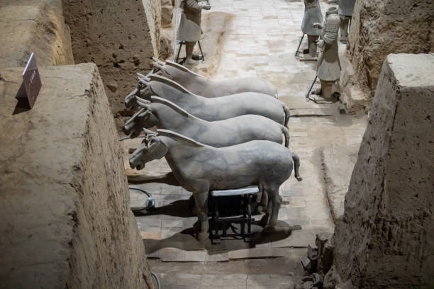 l’armée de terre cuite ou les « guerriers et chevaux de terre cuite » enterrés dans les fosses à côté de la tombe de qin shi huang en 210-209 avant jc. - horse terracotta soldiers china terracotta photos et images de collection