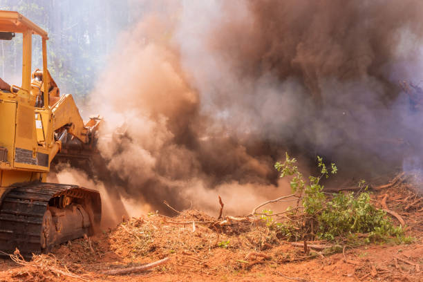 istock There is a construction site that burns the uprooted forests in order to create housing sites 1458808874