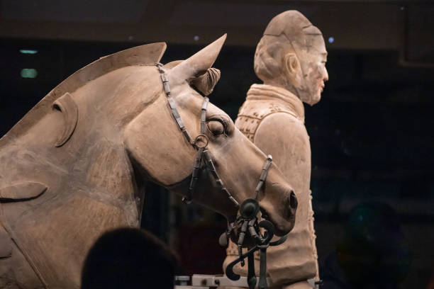 l’armée de terre cuite ou les « guerriers et chevaux de terre cuite » enterrés dans les fosses à côté de la tombe de qin shi huang en 210-209 avant jc. - horse terracotta soldiers china terracotta photos et images de collection