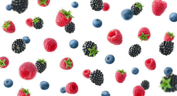istock Collection of various falling fresh ripe wild berries isolated on white background. Raspberry, blackberry and blueberry 1458809383